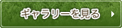ギャラリーを見る
